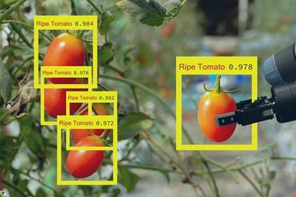 Visual Data Processing in Scientific Research Experiments